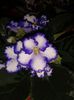 20150525_195648