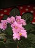 20150525_195702