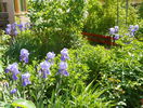 24 mai 059