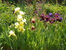 24 mai 066