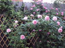 DSC07270