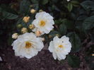 DSC07281
