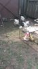 20150516_101947