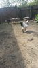 20150516_102426(0)