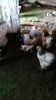 20150516_121345(0)