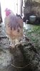 20150516_122901(0)