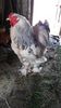 20150516_122906(0)