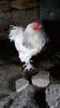 20150516_122959(0)