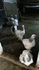 20150516_123007(0)