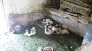 20150517_153220(0)