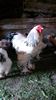 20150517_155240(0)
