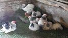 20150517_153231
