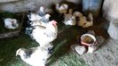 20150517_155226(0)