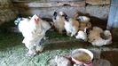 20150517_155248(0)