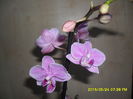 SAM_9628