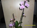 SAM_9630