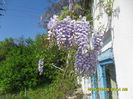 SAM_9280