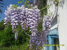 SAM_9281