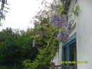 SAM_9297