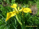 SAM_9524