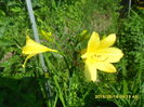 SAM_9525