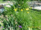 SAM_9531