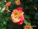 SAM_9637