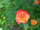 SAM_9639