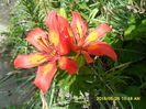 SAM_9644