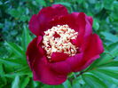 DSCN7224