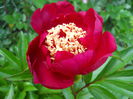 DSCN7225