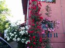 IMG_20150521_081742