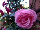 IMG_20150521_081902
