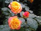 20150526_065117