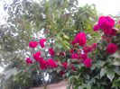 20150524_204118