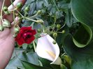 20150520_144000
