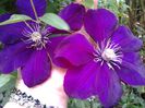 20150520_143606
