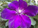 20150520_143506