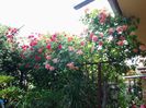 20150520_120648