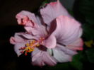 SAM_5312