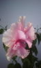 2015-05-26 20.27.33