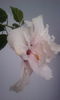 2015-05-26 20.28.57