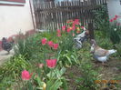 DSC03152