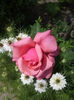 IMG_20150526_123618