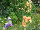 26 mai 089