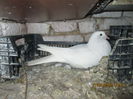 Picture 019