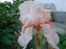 DSC07741