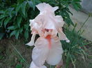 DSC07740