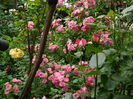 DSCN8108