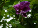 DSCN8112